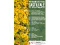 Cartel Fiestas del Cristo