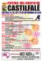 Cartel de Fiestas 2010