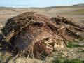 Retirada de los nidos de cigüeña